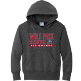 CT Wolfpack South Youth Core Fleece Pullover Hooded Sweatshirt
